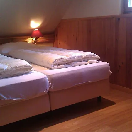 De Stern En De Beuk *