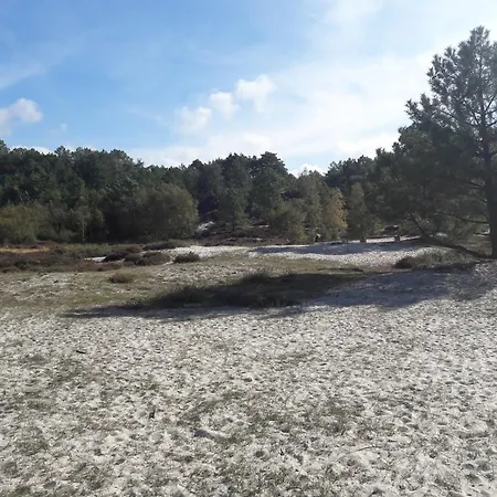 De Stern En De Beuk Feriehus Groet