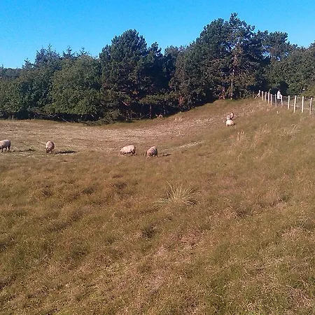 De Stern En De Beuk Feriehus Groet