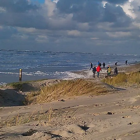 De Stern En De Beuk *