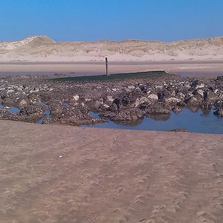 De Stern En De Beuk