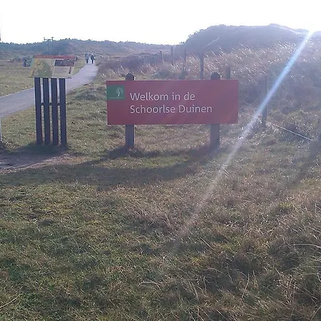 De Stern En De Beuk