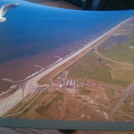 De Stern En De Beuk Groet