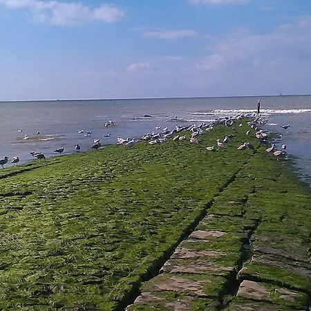 Feriehus De Stern En De Beuk *