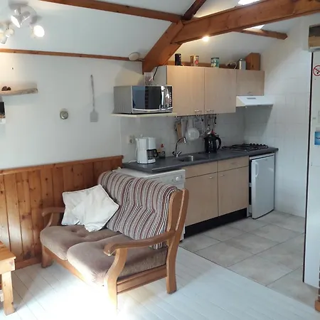 De Stern En De Beuk Groet