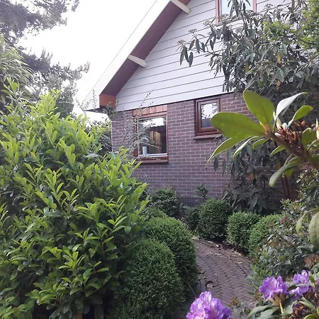 De Stern En De Beuk Feriehus *