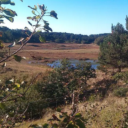 Дом отдыха De Stern En De Beuk
