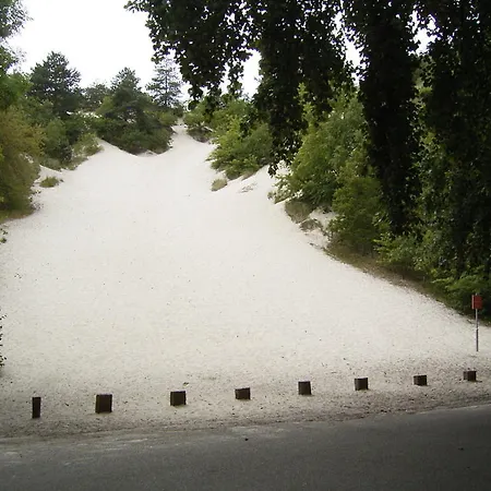 Дом отдыха De Stern En De Beuk *