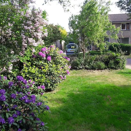 De Stern En De Beuk Грут