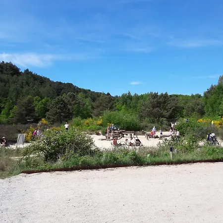 De Stern En De Beuk * Грут