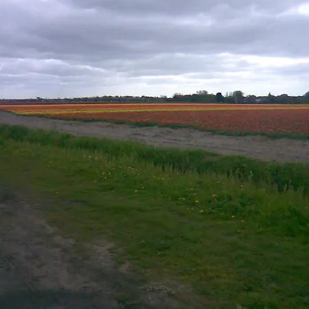 De Stern En De Beuk Дом отдыха